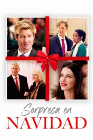 Sorpresa en Navidad