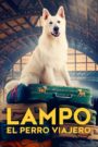 Lampo, el perro viajero
